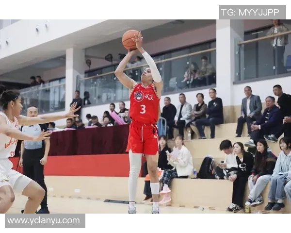 武汉篮球队的节奏解析：深度剖析球队战术与风格的背后故事